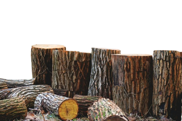 madera